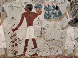 Alimentația în Egiptul antic
